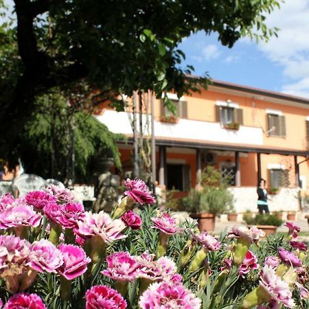 B&B Casale Shanti Piedimonte San Germano Ngoại thất bức ảnh